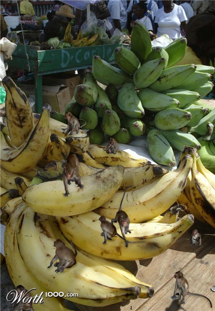 Photoshop Design by scorpio777