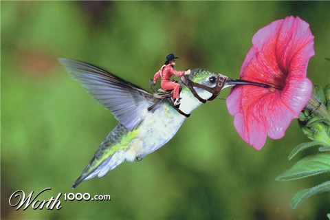 Photoshop Design by FuglySchmuck