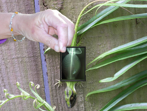 Diseño de Photoshop por downside para DesignCrowd (Community Contests) | Diseño #9074967