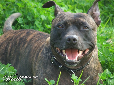 Photography by sn8kebyte