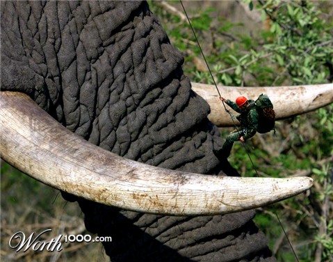 Photoshop Design by RikkieZ