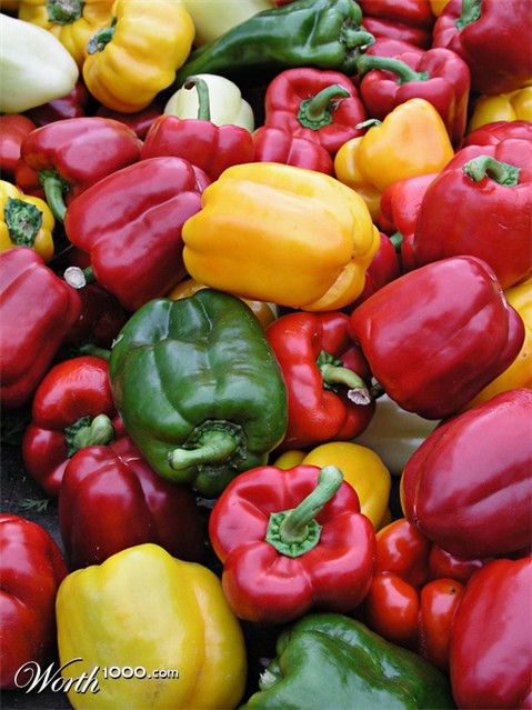 Photography by mzmzmzmz