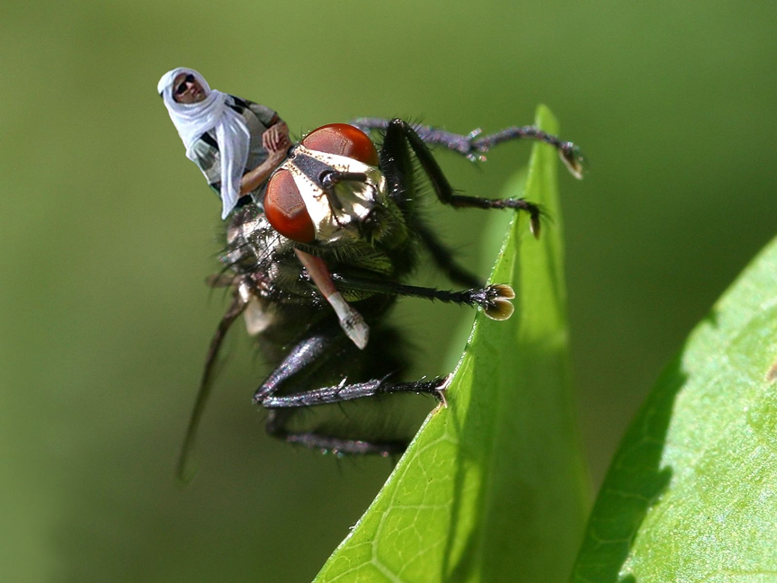 Photoshop Design by dwood58 for DesignCrowd (Community Contests) | Design #9074724