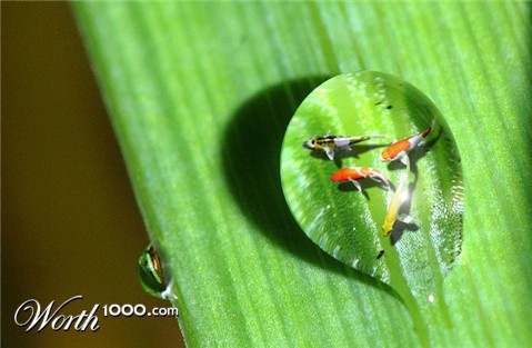 Photoshop Design by Helen79