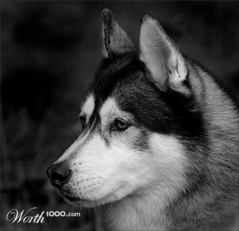 Photography by smylie