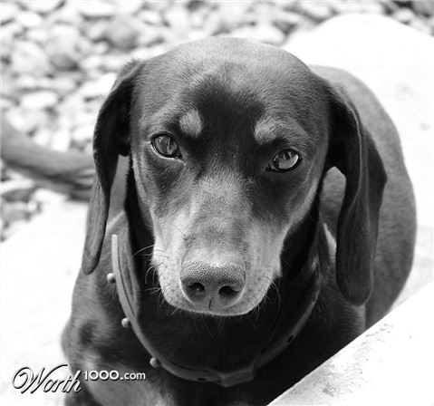 Photography by ADROALDO