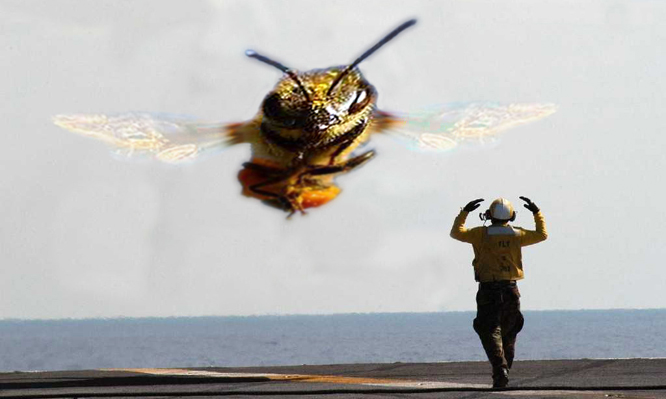 Design Photoshop par FakeAwaY pour DesignCrowd (Community Contests) | Design #9074913