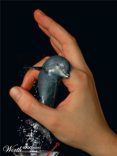 Photoshop Design by MasterGnu