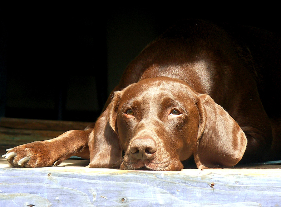 Photographie par ruxa2na pour DesignCrowd (Community Contests) | Design #9081032