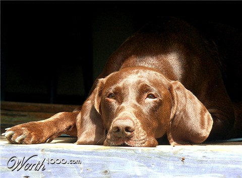 Photography by ruxa2na