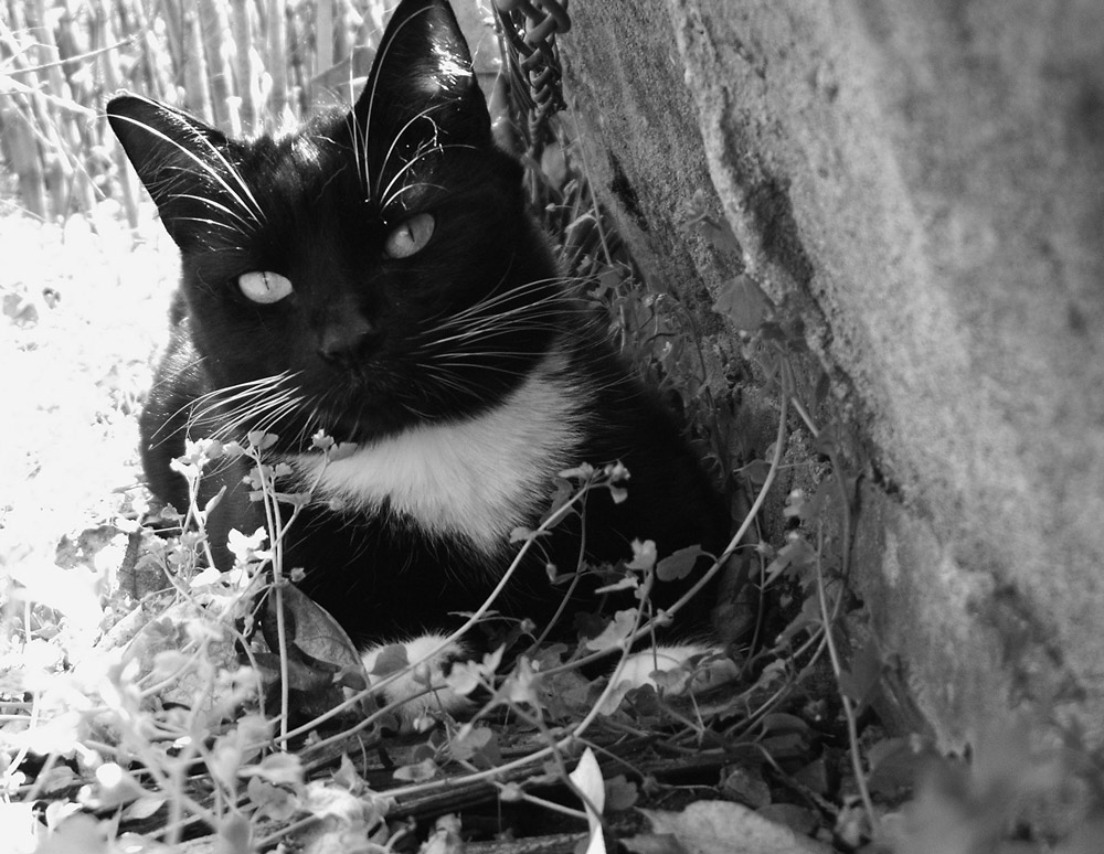 Photography by Kevertje for DesignCrowd (Community Contests) | Design #9080875