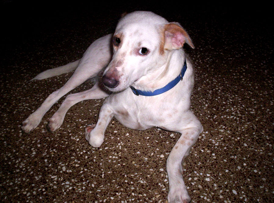 Photography by damembal for DesignCrowd (Community Contests) | Design #9080923