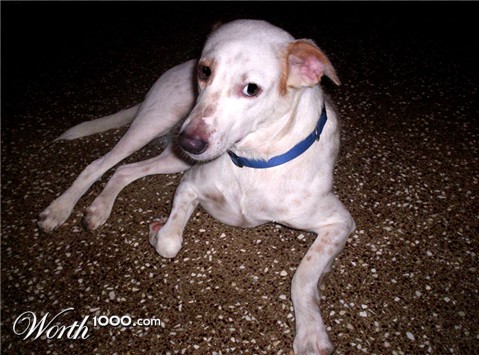 Photography by damembal