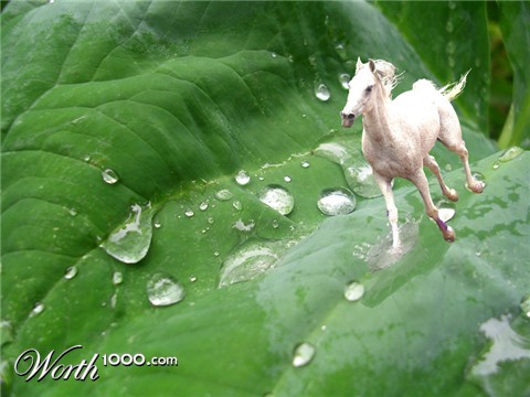 Photoshop Design by hwillm1977