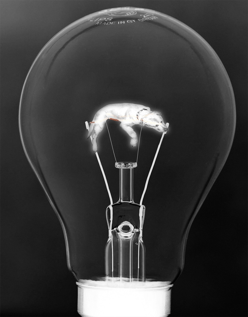 Photoshop Design by redzito for DesignCrowd (Community Contests) | Design #9074883