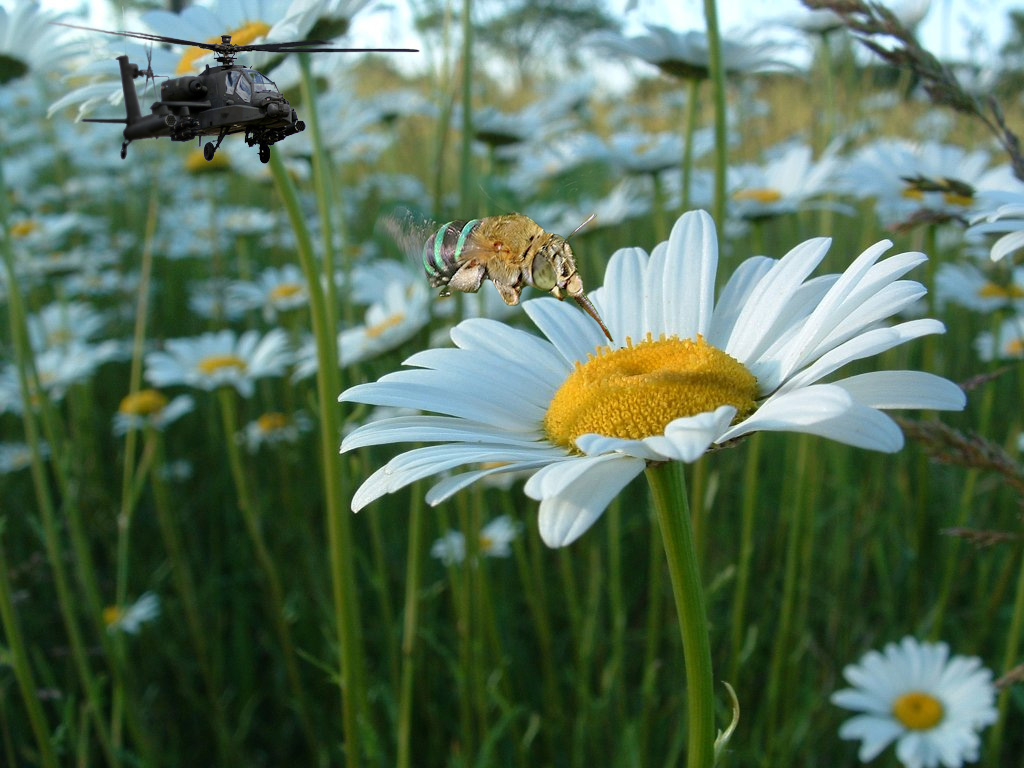 Diseño de Photoshop por doubleseven para DesignCrowd (Community Contests) | Diseño #9074987