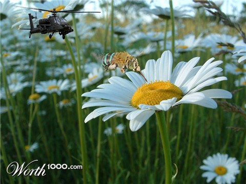 Photoshop Design by doubleseven