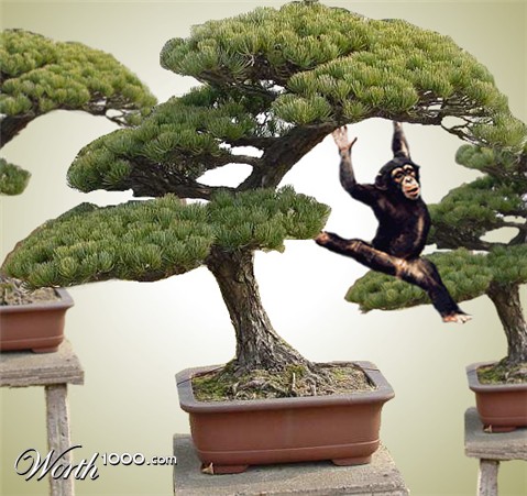 Photoshop Design by thekingbarron