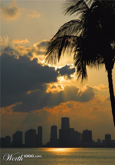 Photography by josephzl