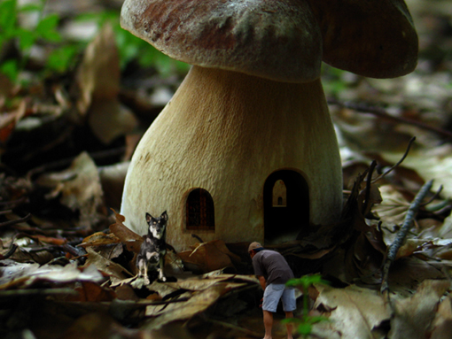 Photoshop Design by bingobaby for DesignCrowd (Community Contests) | Design #9074945