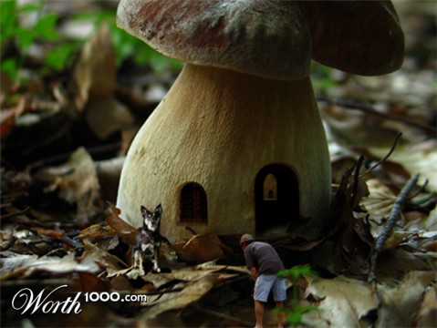 Photoshop Design by bingobaby