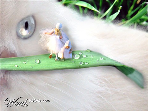 Photoshop Design by rjoannej