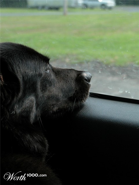 Photography by pbennett