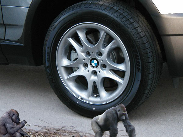 Design Photoshop par redsharkbait pour DesignCrowd (Community Contests) | Design #9075022