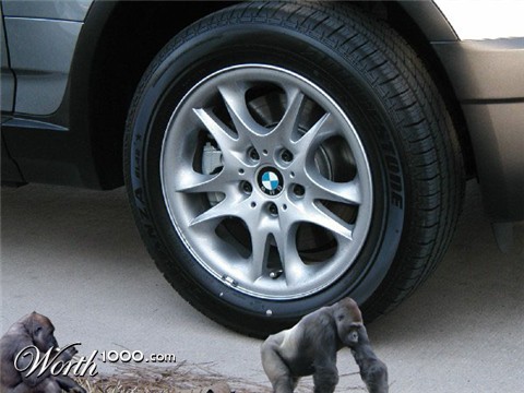 Photoshop Design by redsharkbait