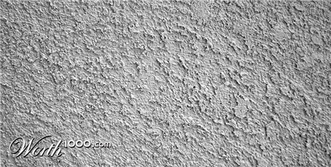 Photography by tlovesd