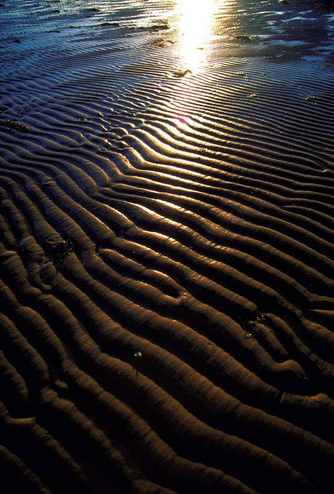 Photographie par stueysnail pour DesignCrowd (Community Contests) | Design #9074205