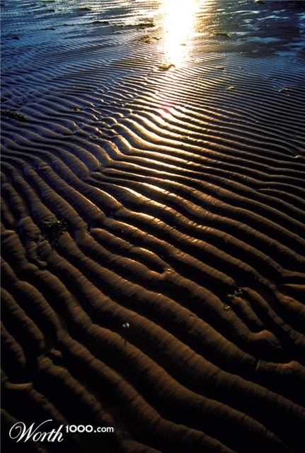 Photography by stueysnail