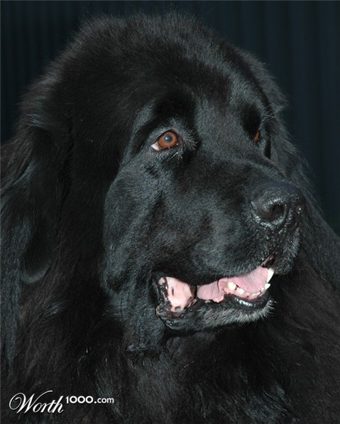 Photography by kimbomac