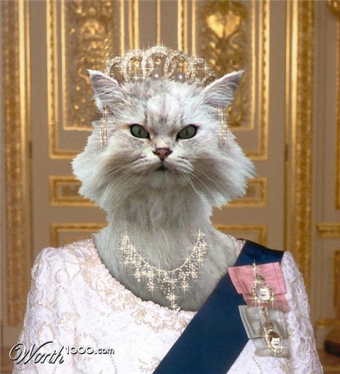 Photoshop Design by JClark8220