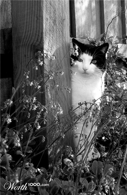 Photography by johnnymaxwell