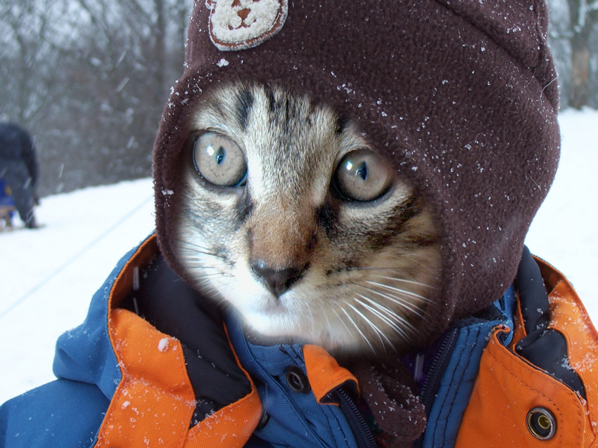 Diseño de Photoshop por Fairfax2005 para DesignCrowd (Community Contests) | Diseño #9074633