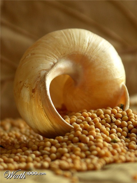 Photography by ruxa2na