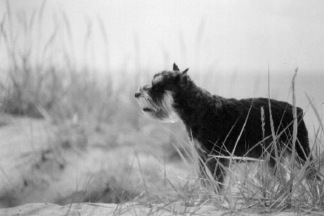 Photography by funcky for DesignCrowd (Community Contests) | Design #9080898