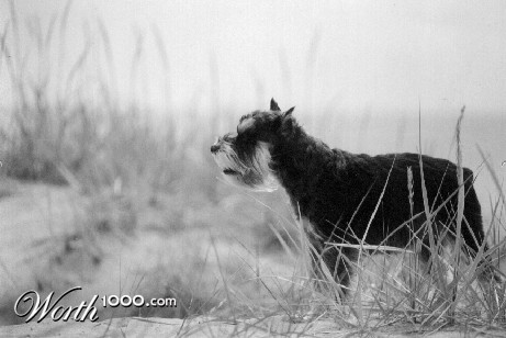 Photography by funcky