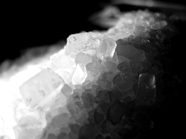 Photography by AnotherRainKing for DesignCrowd (Community Contests) | Design #9074186