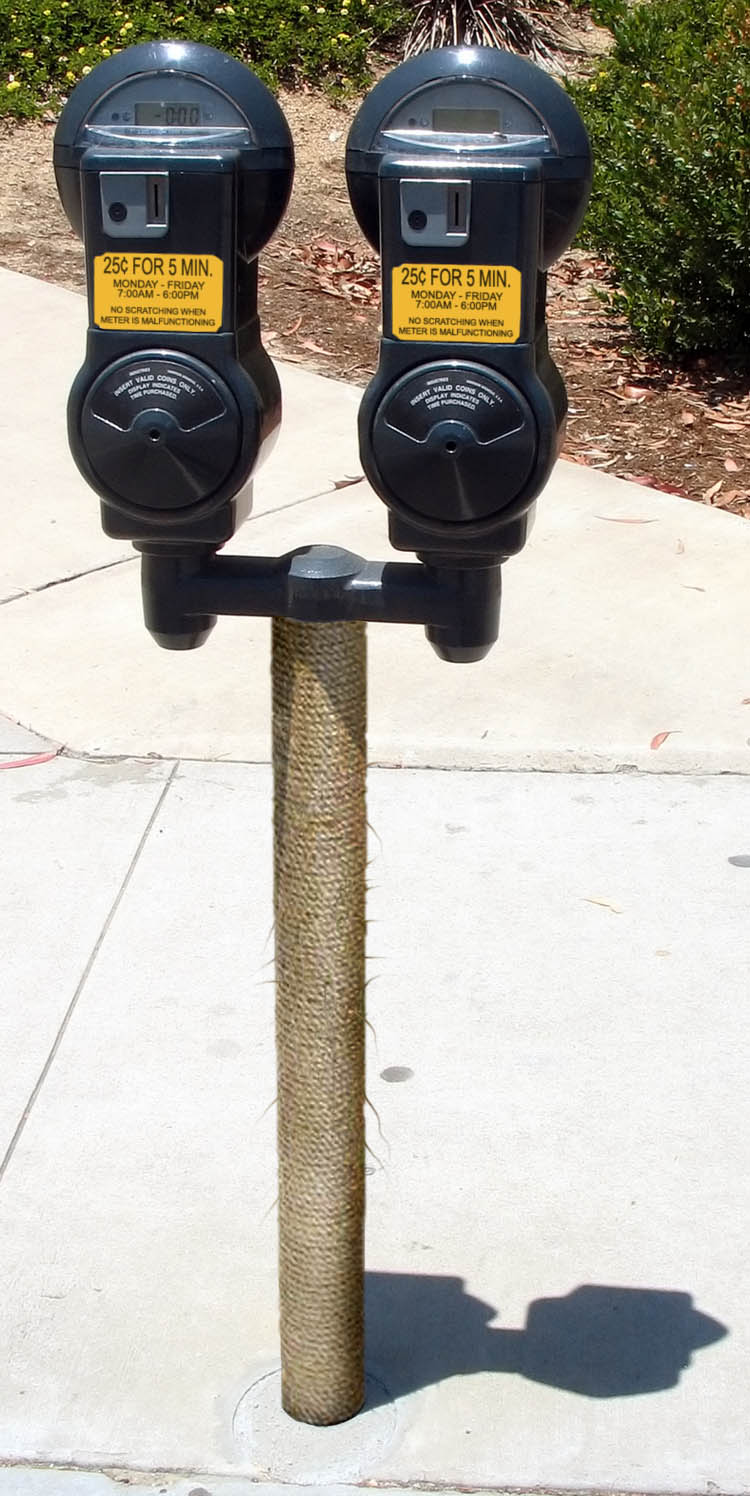 Design Photoshop par godzillatemple pour DesignCrowd (Community Contests) | Design #9074640