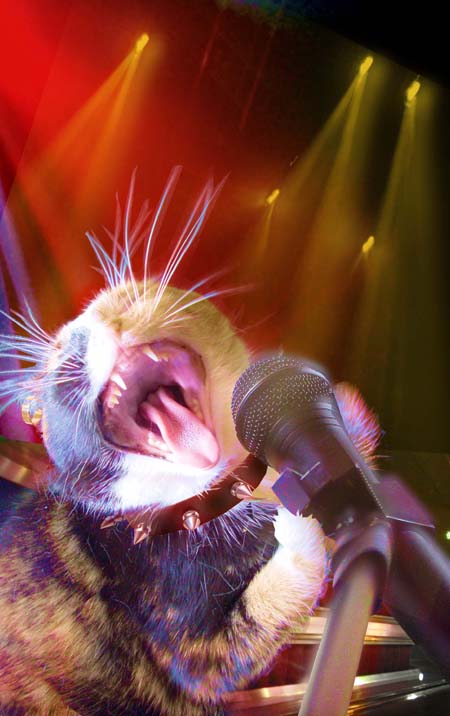 Photoshop Design by AtomicTitan for DesignCrowd (Community Contests) | Design #9074645