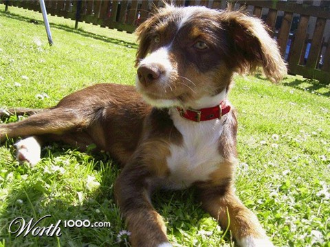 Photography by timboellis2031