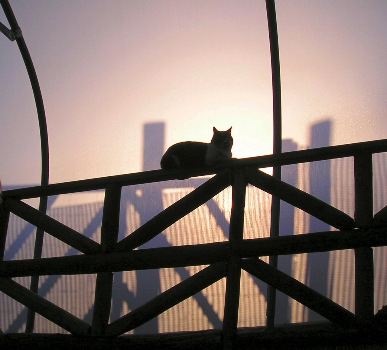 Photographie par Massie pour DesignCrowd (Community Contests) | Design #9081005