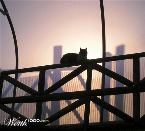 Photography by Massie