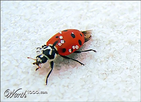 Photography by DFragXD