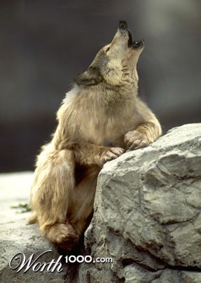 Photoshop Design by BradBramish