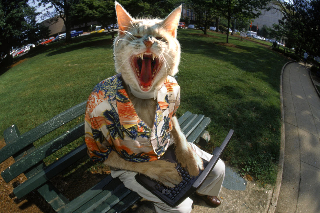 Photoshop Design by surendrasawant for DesignCrowd (Community Contests) | Design #9074672