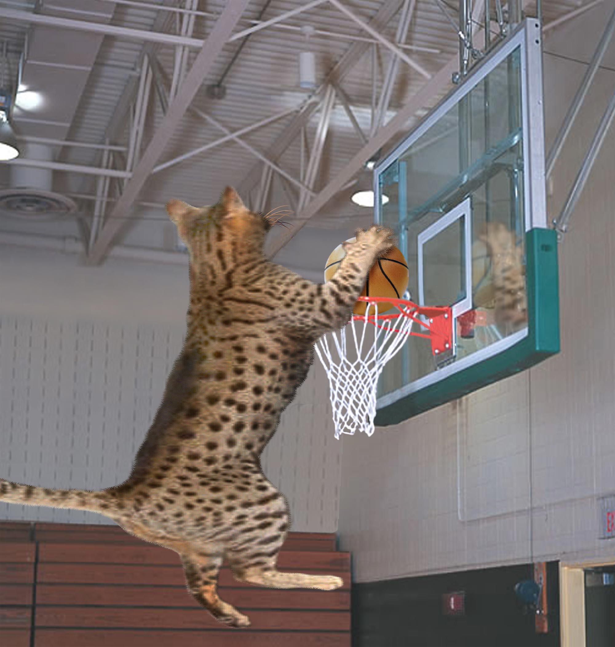 Photoshop Design by motorhead for DesignCrowd (Community Contests) | Design #9074664