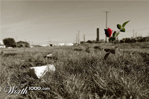 Photography by amunsie